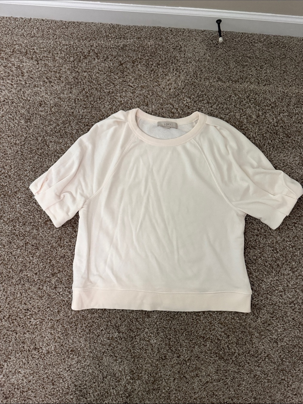 LOFT Short Sleeve Sweatshirt in Pale Blush